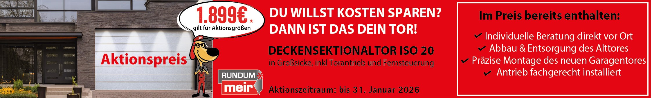Deckensektionaltor Aktion